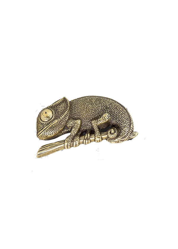 Hebilla de Camaleón