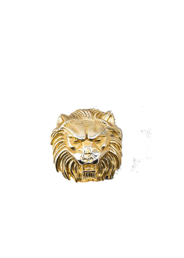 Hebilla de León